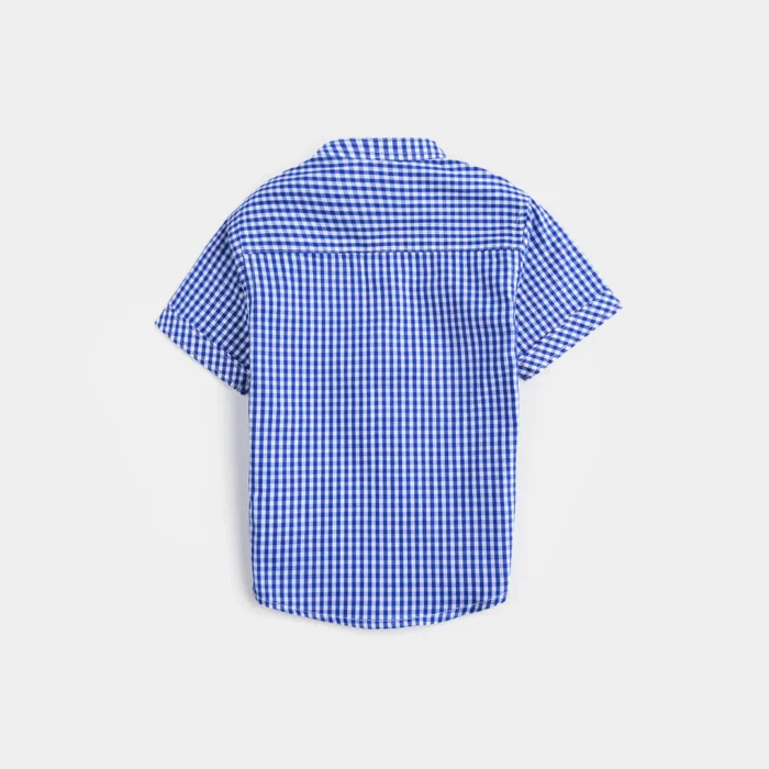Infant Boys Cotton Basic Casual Shirt-Blue Check - Image 4